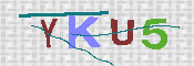 キャプチャ画像