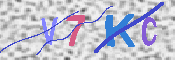 キャプチャ画像