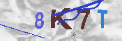 キャプチャ画像