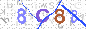 キャプチャ画像