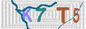 キャプチャ画像