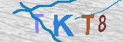 キャプチャ画像