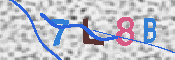 キャプチャ画像