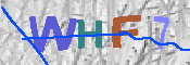 キャプチャ画像