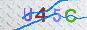 キャプチャ画像