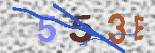 キャプチャ画像