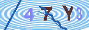 キャプチャ画像