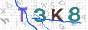 キャプチャ画像