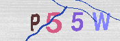 キャプチャ画像