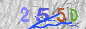 キャプチャ画像