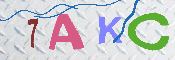 キャプチャ画像