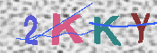 キャプチャ画像