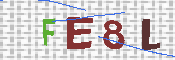 キャプチャ画像