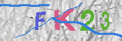 キャプチャ画像