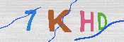 キャプチャ画像