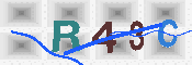 キャプチャ画像