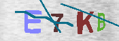 キャプチャ画像
