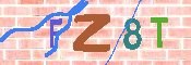 キャプチャ画像