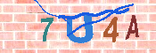 キャプチャ画像