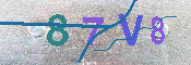 キャプチャ画像