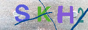 キャプチャ画像