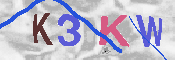 キャプチャ画像