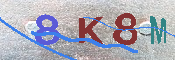 キャプチャ画像