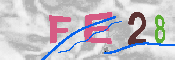 キャプチャ画像