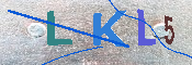 キャプチャ画像