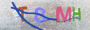 キャプチャ画像