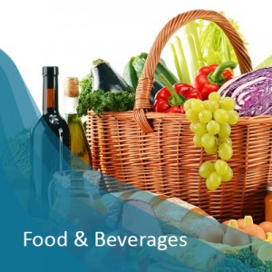 日本植物性タンパク質市場