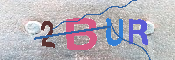 キャプチャ画像