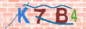 キャプチャ画像