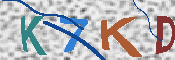 キャプチャ画像