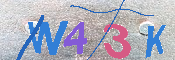 キャプチャ画像