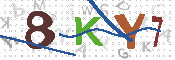 キャプチャ画像