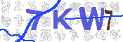 キャプチャ画像