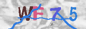 キャプチャ画像