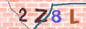 キャプチャ画像