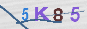 キャプチャ画像