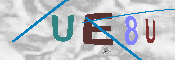キャプチャ画像
