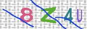 キャプチャ画像