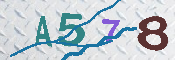 キャプチャ画像