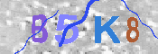 キャプチャ画像