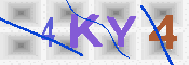 キャプチャ画像