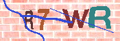 キャプチャ画像