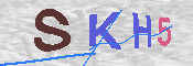 キャプチャ画像