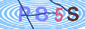 キャプチャ画像