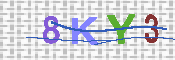 キャプチャ画像