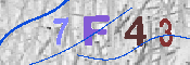 キャプチャ画像